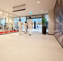 Forbo Marmoleum Marbled Real 3120 / 312035 Rosato фото 3 | FLOORDEALER